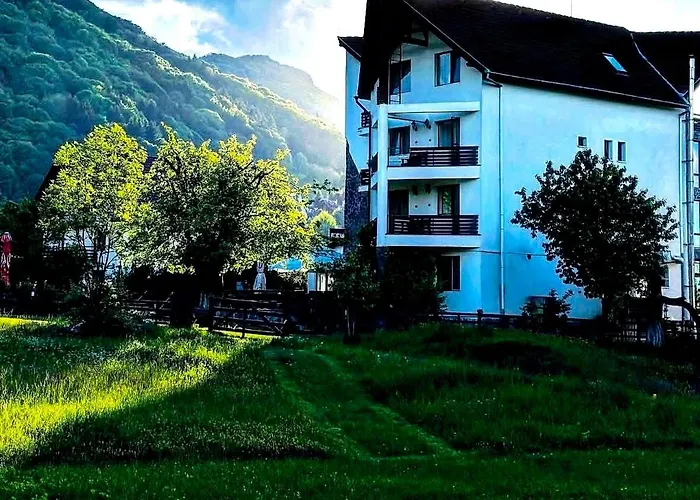 Vila Alisa Bran 